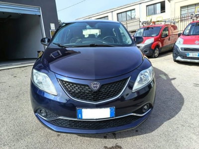 Lancia Ypsilon 1.3 MJT 16V 95 CV 5 porte S&S Platinum (3)