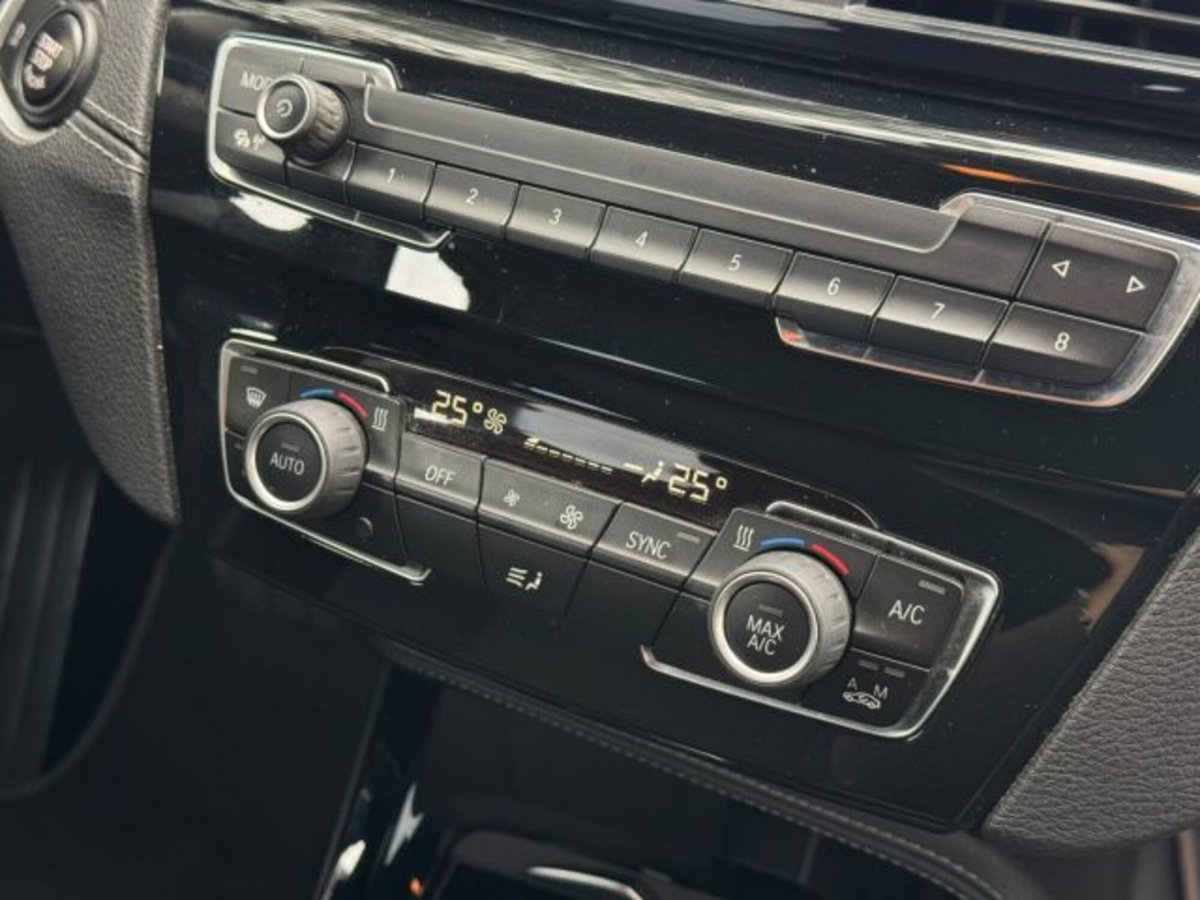 BMW X2 xDrive18d Advantage (15)