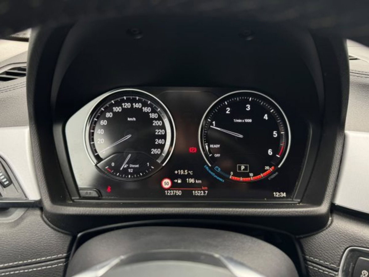 BMW X2 xDrive18d Advantage (20)