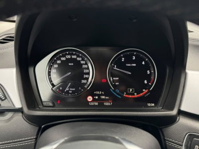 BMW X2 xDrive18d Advantage (20)