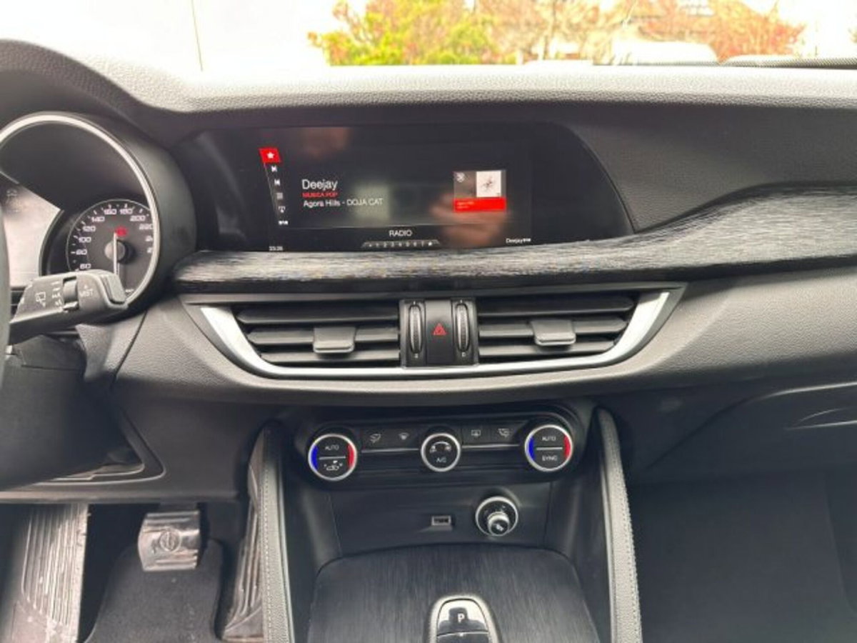Alfa Romeo Stelvio Stelvio 2.2 Turbodiesel 160 CV AT8 RWD Sport-Tech (18)