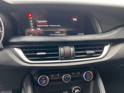 Alfa Romeo Stelvio Stelvio 2.2 Turbodiesel 160 CV AT8 RWD Sport-Tech (9)