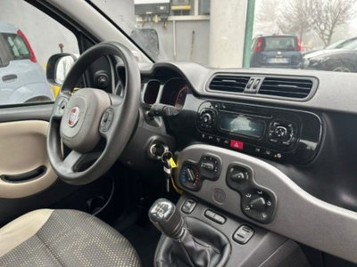 Fiat Panda 0.9 TwinAir Turbo S&S 4x4 Trussardi (9)