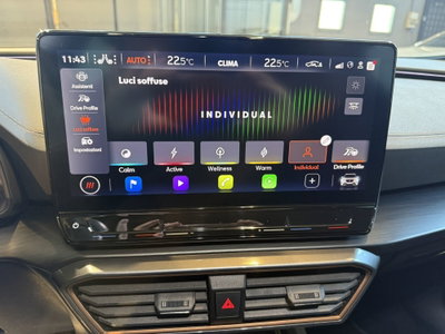 Cupra Formentor Formentor 2.0 tsi 4drive 190cv dsg (13)