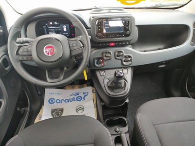 Fiat Panda Cross Cross 1.0 FireFly S&S Hybrid (8)
