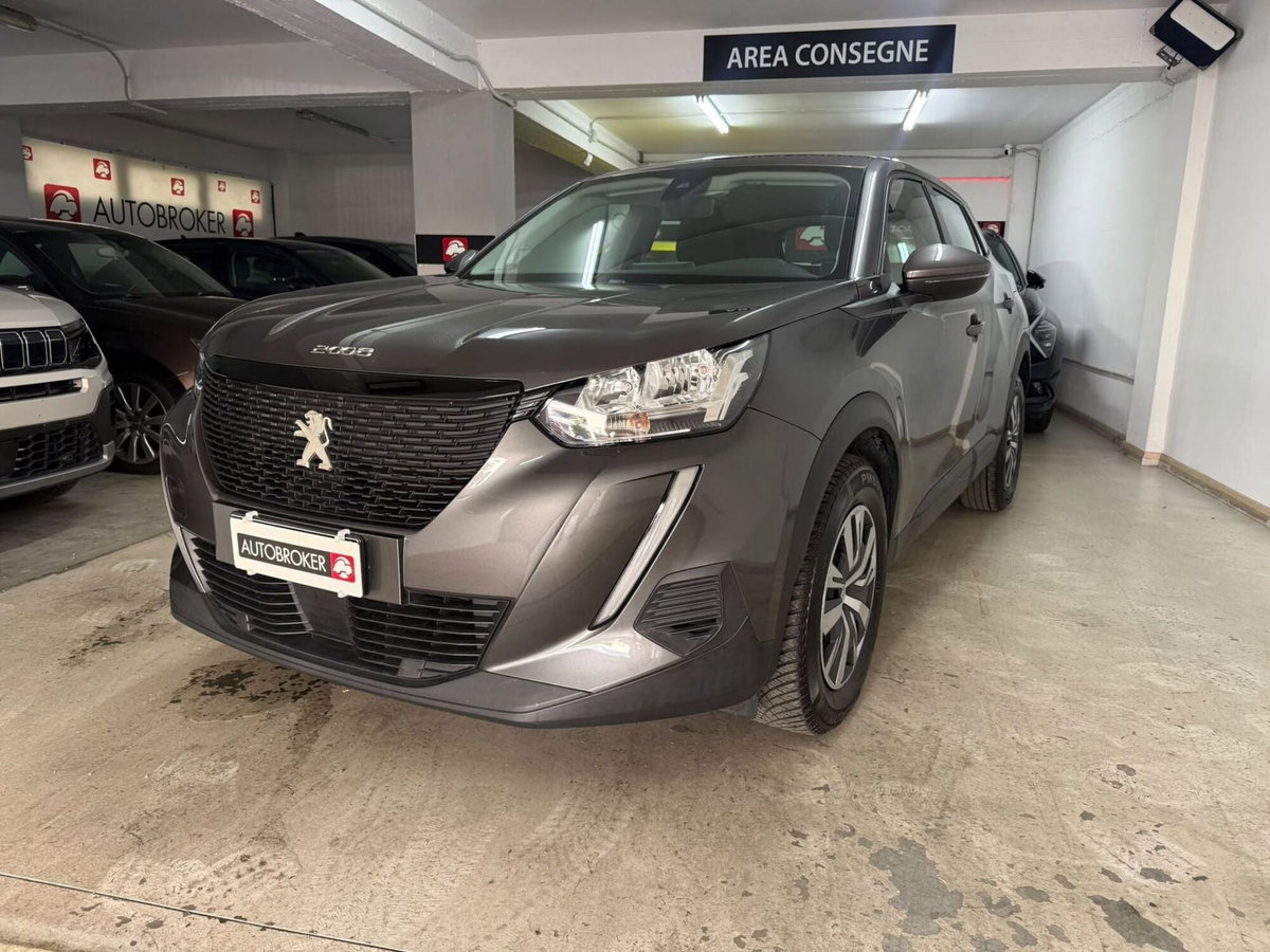 Peugeot 2008 BlueHDi 110 S&S Active (2)