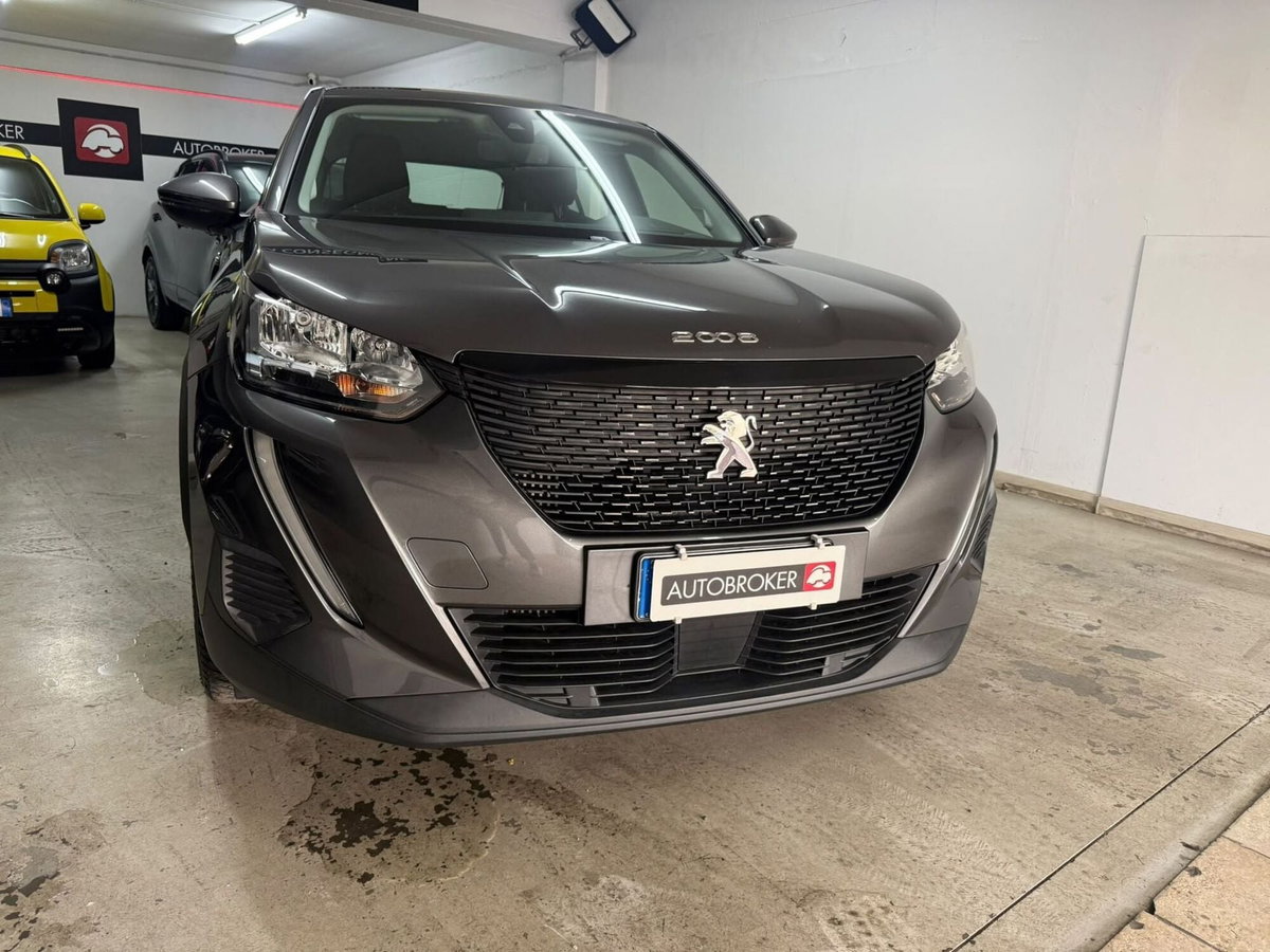 Peugeot 2008 BlueHDi 110 S&S Active (3)