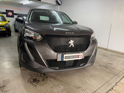 Peugeot 2008 BlueHDi 110 S&S Active (3)