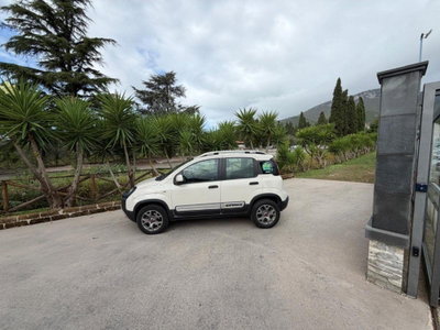 Fiat Panda 1.3 MJT 16V 4x4 (2)