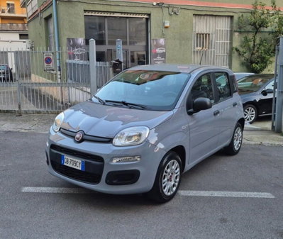 Fiat Panda 1.2 Easy usata