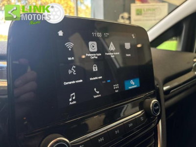 Ford Fiesta 1.5 TDCi 5 porte Vignale (19)