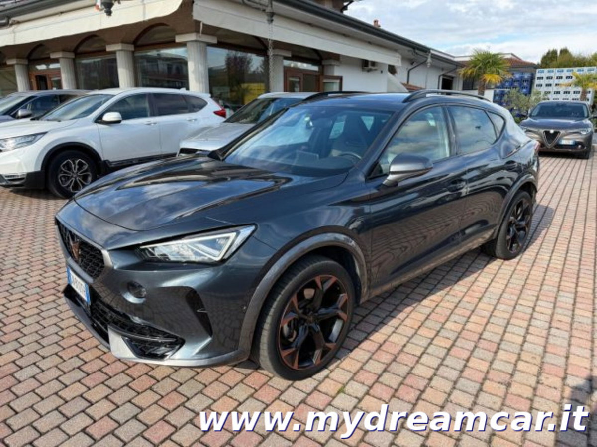 Cupra Formentor Formentor 2.0 tdi 4drive 150cv dsg (2)