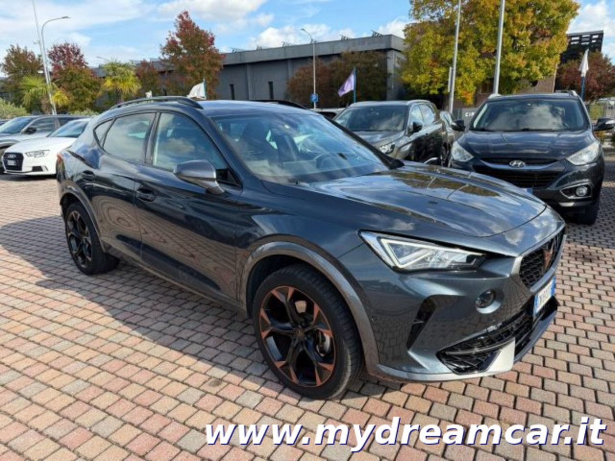 Cupra Formentor Formentor 2.0 tdi 4drive 150cv dsg (3)