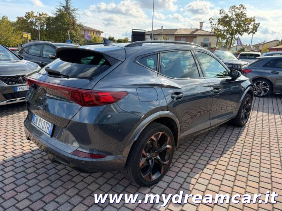 Cupra Formentor Formentor 2.0 tdi 4drive 150cv dsg (4)