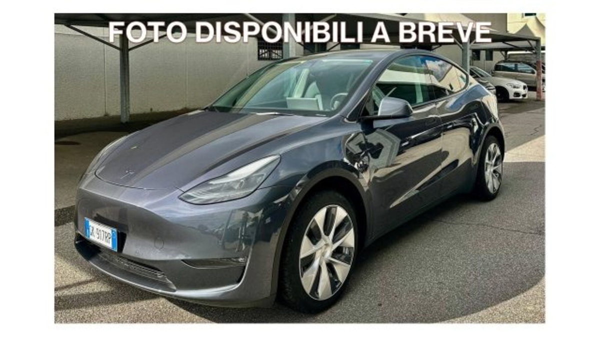 Tesla Model Y Long Range awd