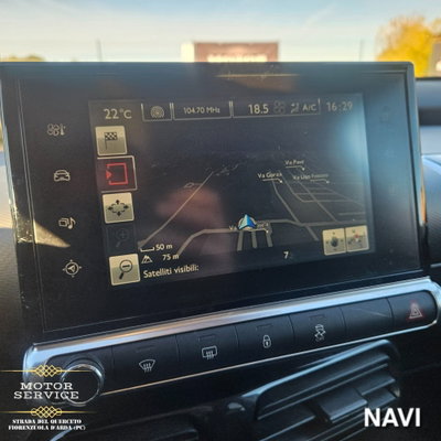 Citroen C4 Cactus PureTech 110 S&S Shine (10)