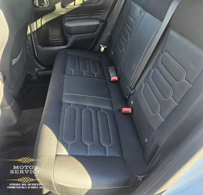 Citroen C4 Cactus PureTech 110 S&S Shine (19)