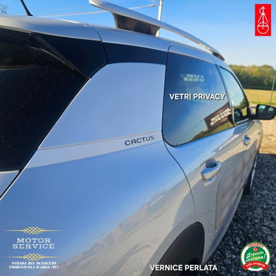 Citroen C4 Cactus PureTech 110 S&S Shine (3)