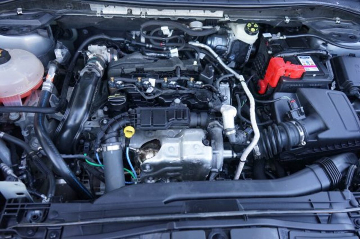 Ford Kuga 1.5 EcoBlue 120 CV 2WD Titanium (19)