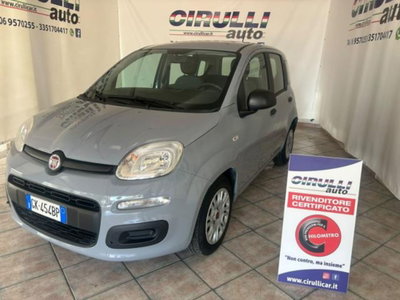 Fiat Panda 1.0 firefly hybrid s&s 70cv 5p.ti (2)