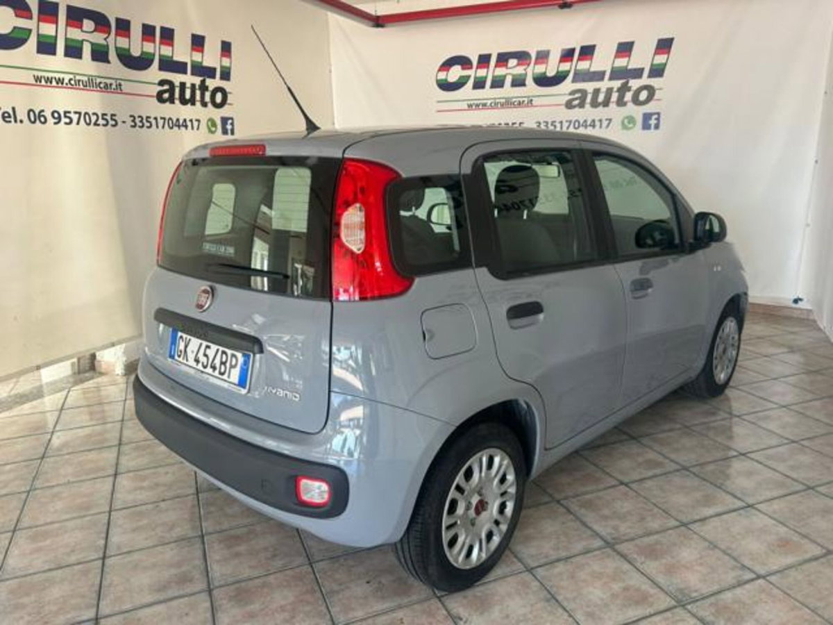 Fiat Panda 1.0 firefly hybrid s&s 70cv 5p.ti (4)