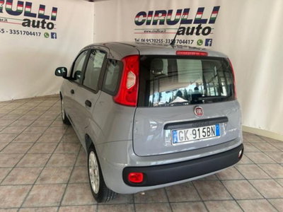 Fiat Panda 1.0 firefly hybrid s&s 70cv 5p.ti (3)