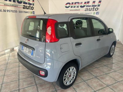 Fiat Panda 1.0 firefly hybrid s&s 70cv 5p.ti (4)