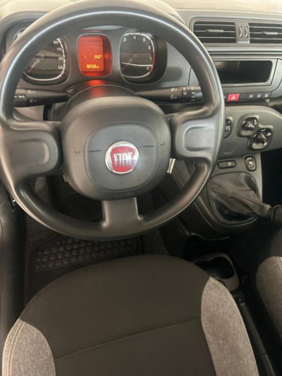 Fiat Panda 1.0 firefly hybrid s&s 70cv 5p.ti (8)