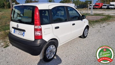 Fiat Panda 1.2 Actual (2)