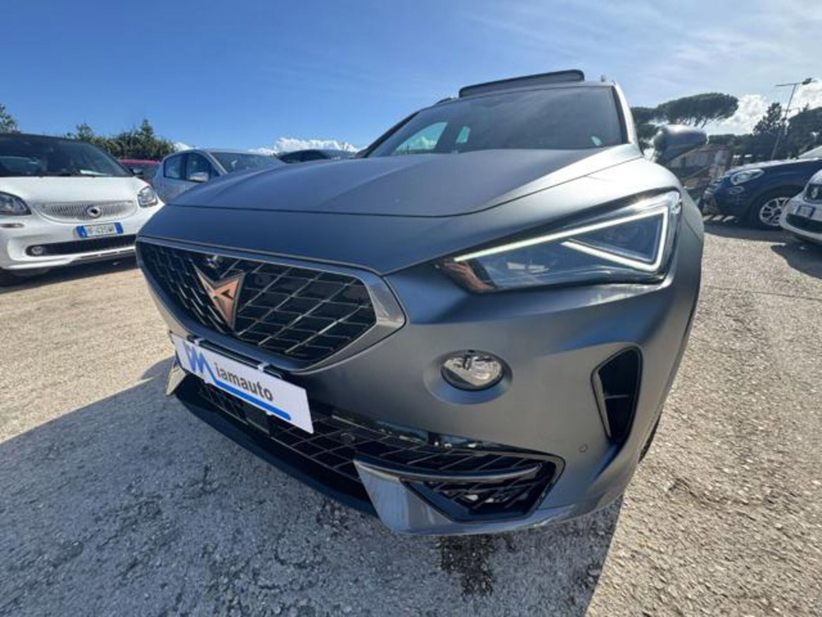 Cupra Formentor Formentor 1.4 e-hybrid VZ 245cv dsg (18)