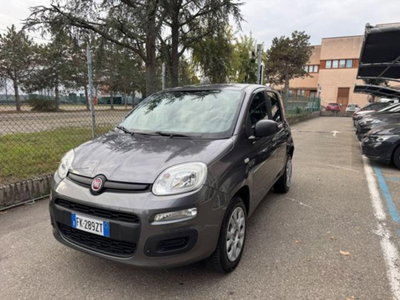 Fiat Panda 0.9 TwinAir Turbo Natural Power Easy usata