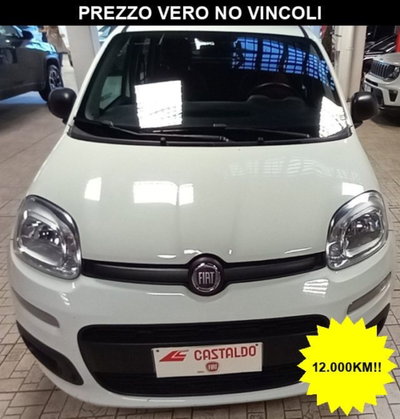 Fiat Panda 1.2 Pop usata