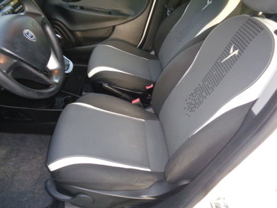 Lancia Ypsilon 1.3 MJT 16V 95 CV 5 porte S&S Silver (8)