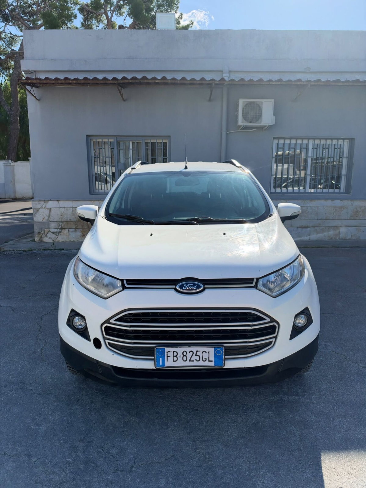 Ford EcoSport 1.5 110 CV Powershift Titanium (2)