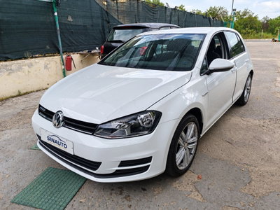 Volkswagen Golf 1.4 TGI 5p. Trendline BlueMotion (2)