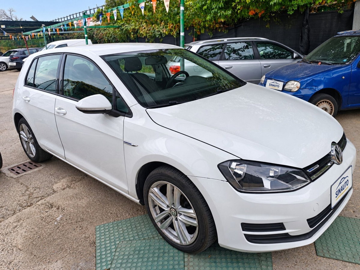 Volkswagen Golf 1.4 TGI 5p. Trendline BlueMotion (3)