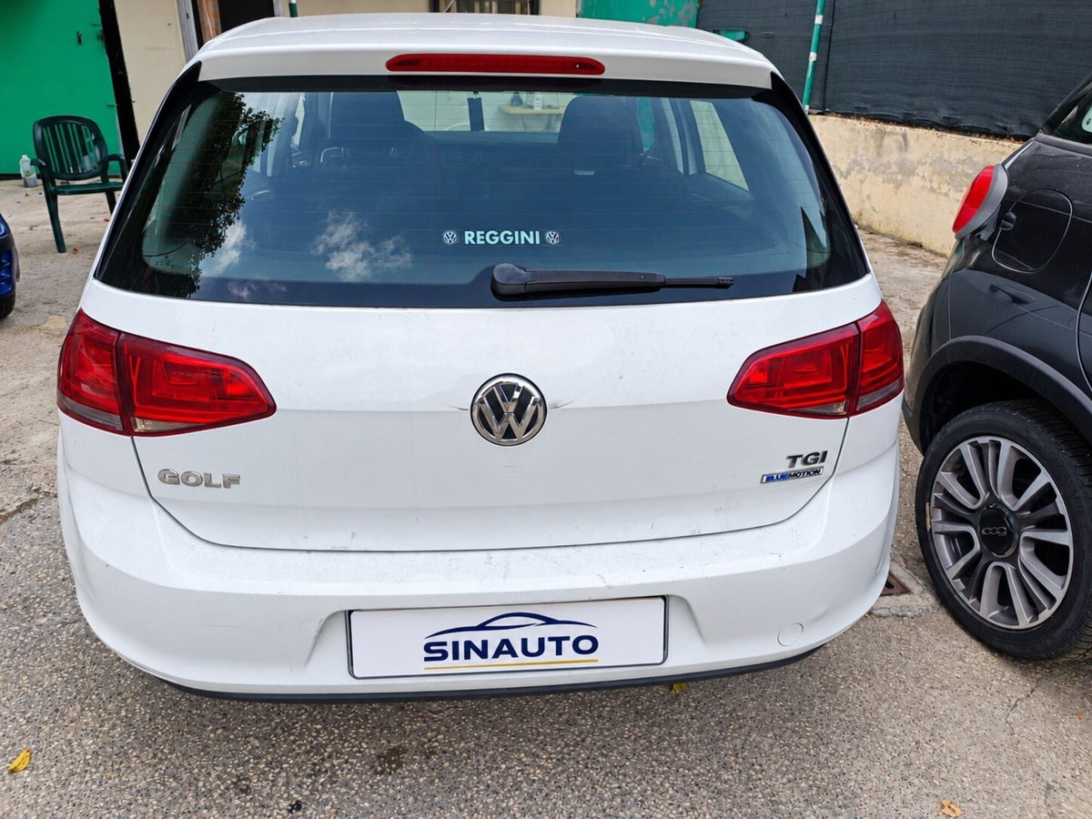 Volkswagen Golf 1.4 TGI 5p. Trendline BlueMotion (4)