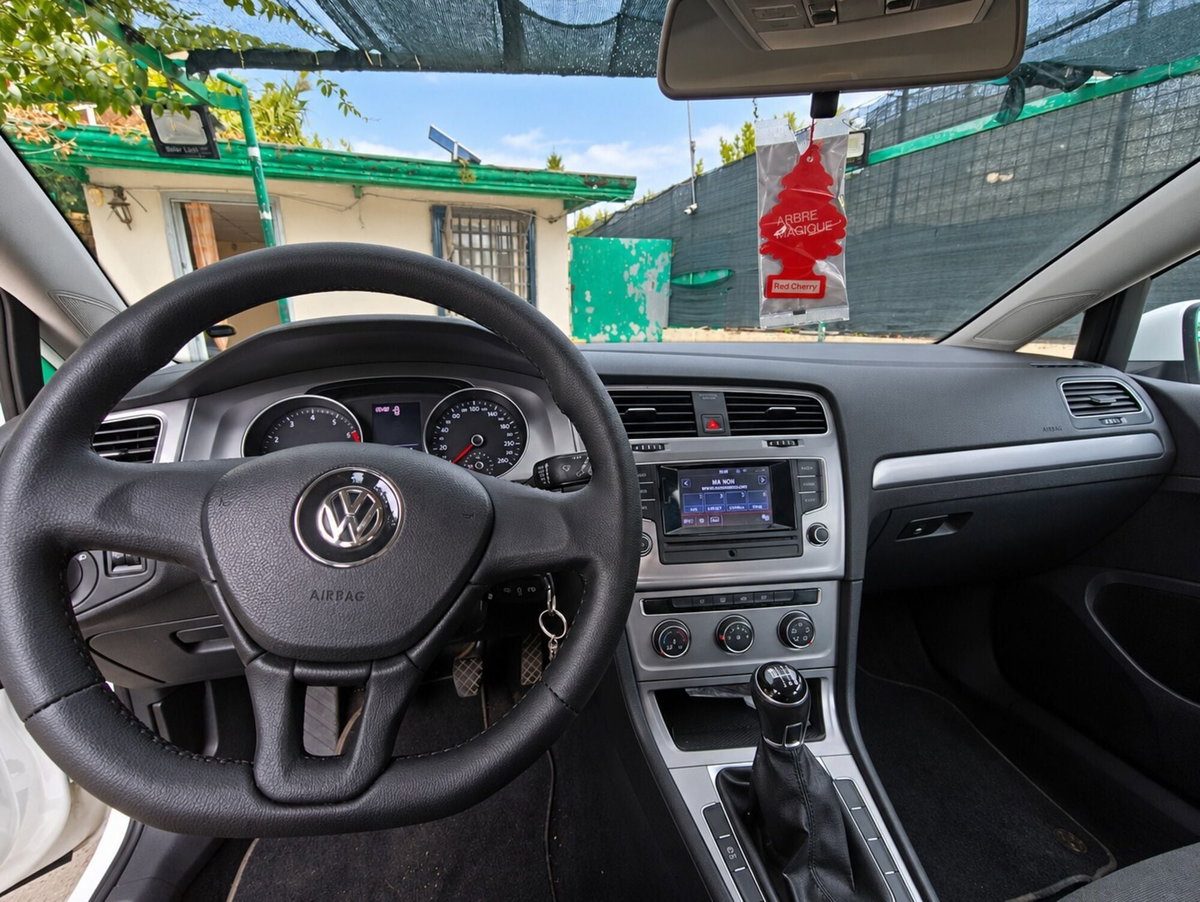 Volkswagen Golf 1.4 TGI 5p. Trendline BlueMotion (8)