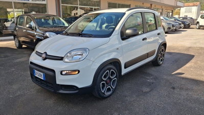 Fiat Panda 1.0 FireFly S&S Hybrid City Cross usata