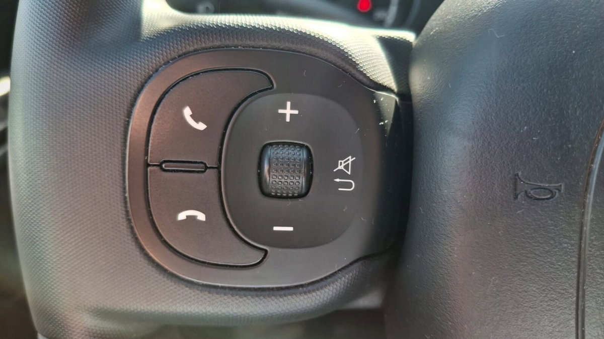Fiat Panda 1.0 FireFly S&S Hybrid City Cross (11)