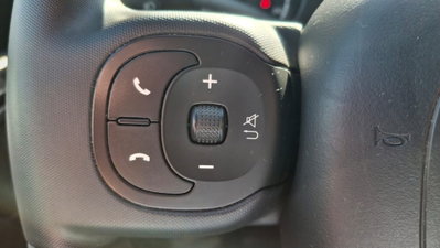 Fiat Panda 1.0 FireFly S&S Hybrid City Cross (11)