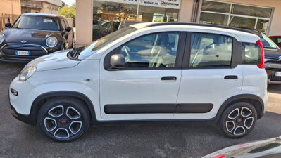 Fiat Panda 1.0 FireFly S&S Hybrid City Cross (2)
