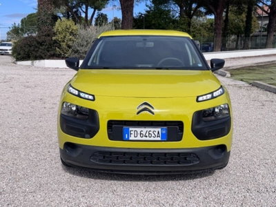 Citroen C4 Cactus PureTech 75 Feel (2)