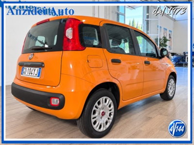 Fiat Panda 1.2 Easy (6)
