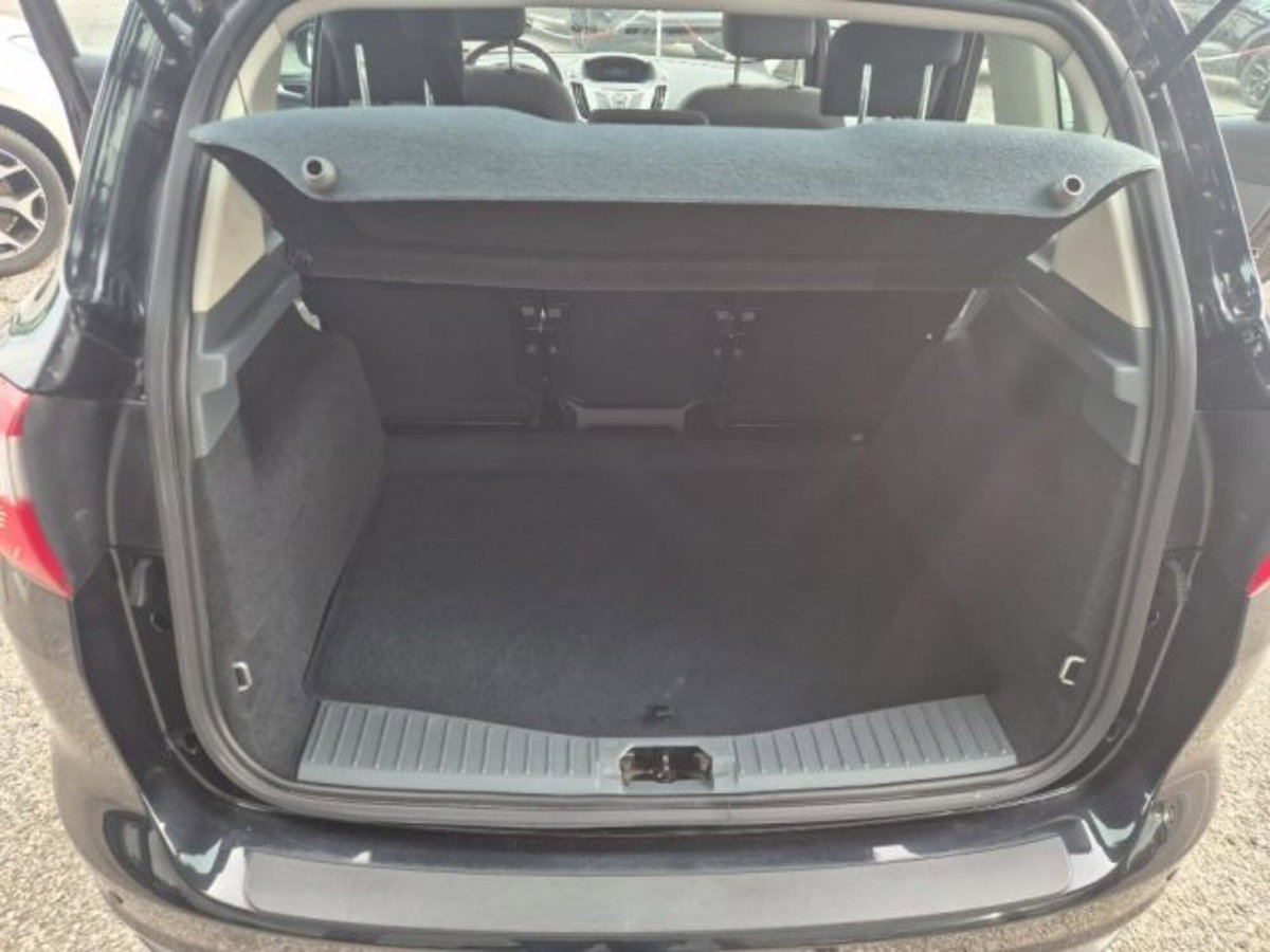 Ford C-Max 1.6 TDCi 115CV Titanium (14)