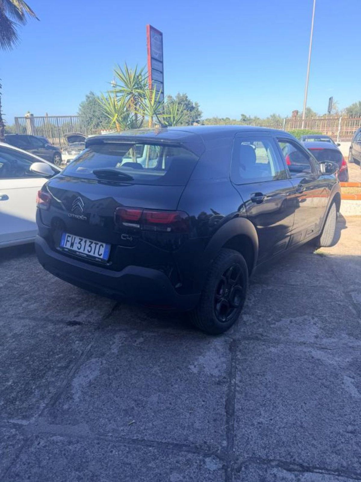 Citroen C4 Cactus BlueHDi 100 S&S Shine (4)