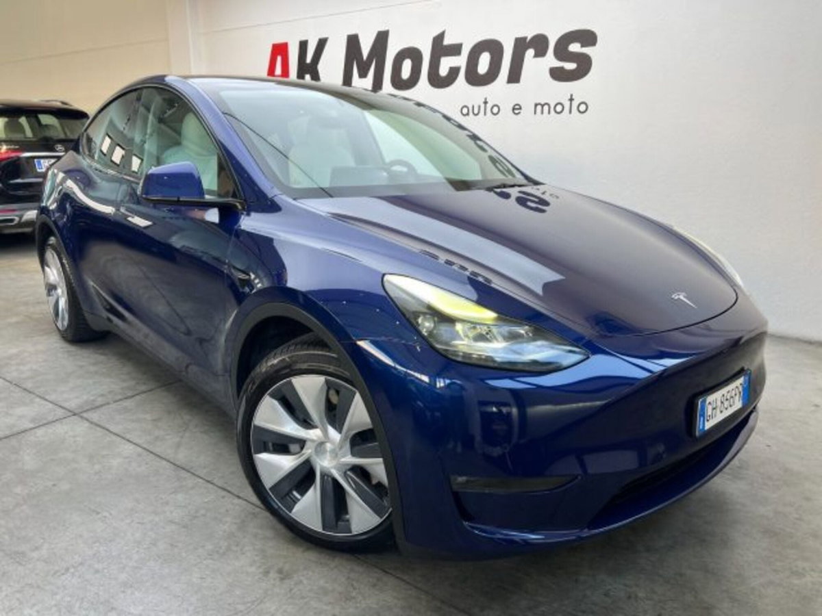 Tesla Model Y Long Range Dual Motor awd