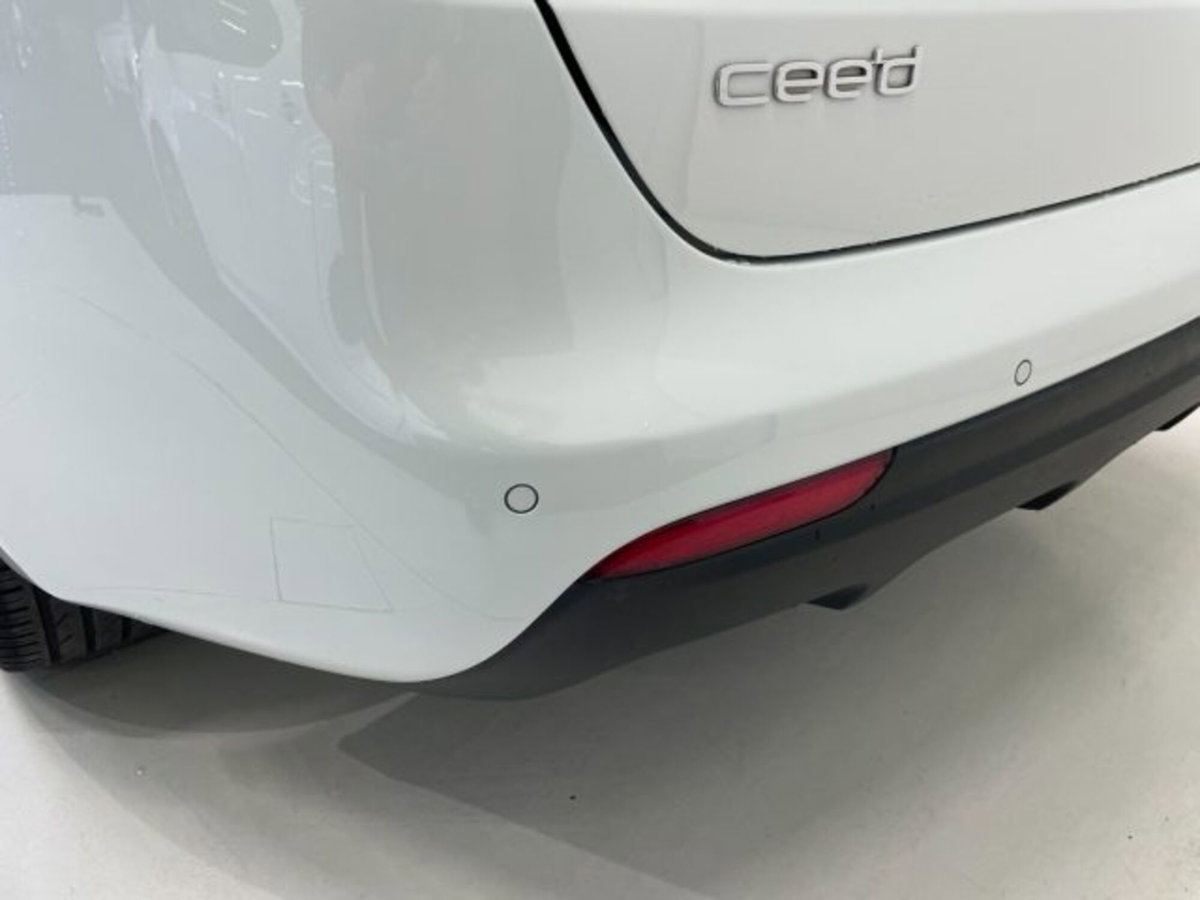 Kia cee'd Sport Wagon 1.0 T-GDI 120 CV SW EcoDynamics GT Line (13)