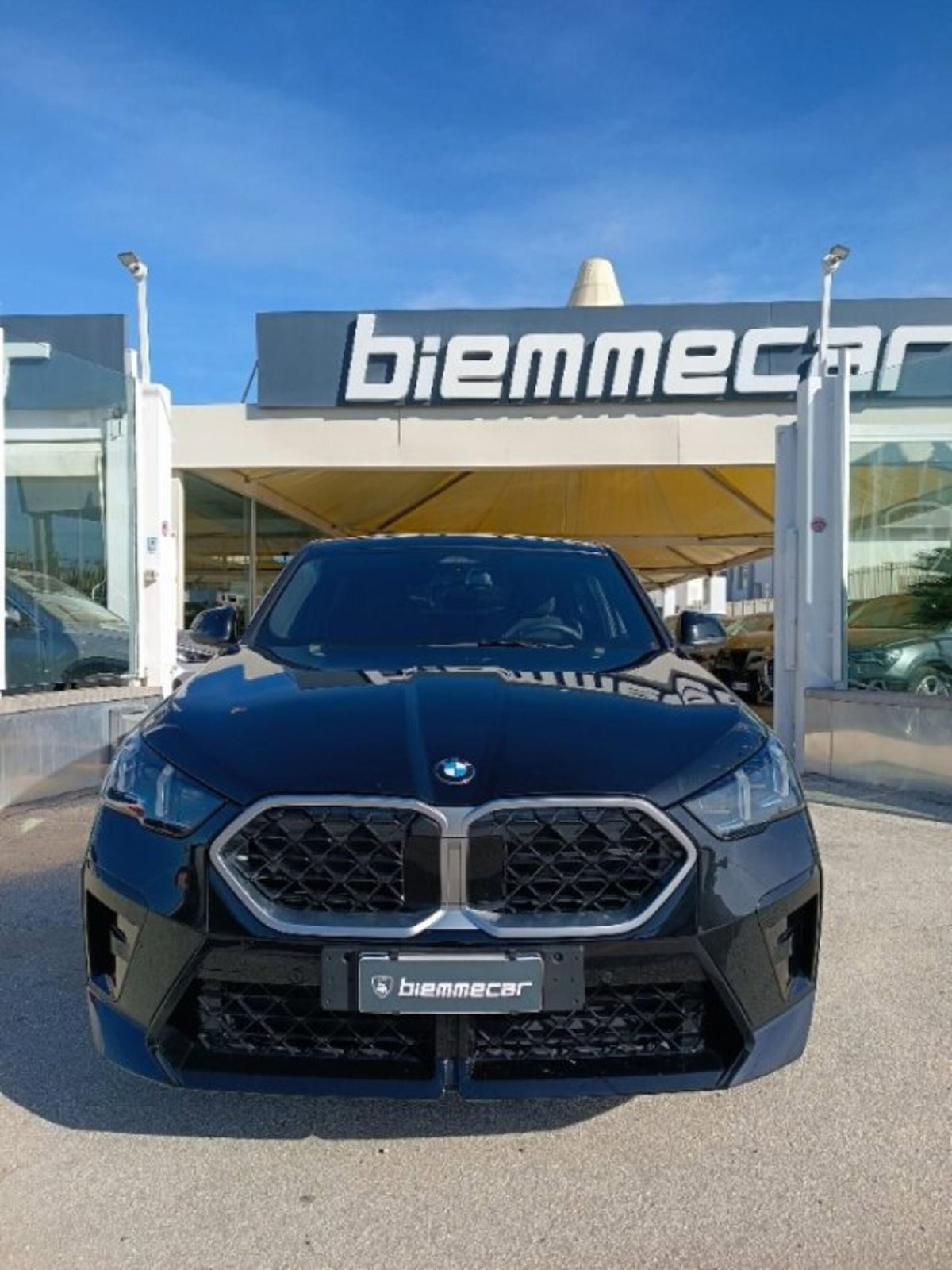 BMW X2 sdrive 18d MSport Pro auto (3)