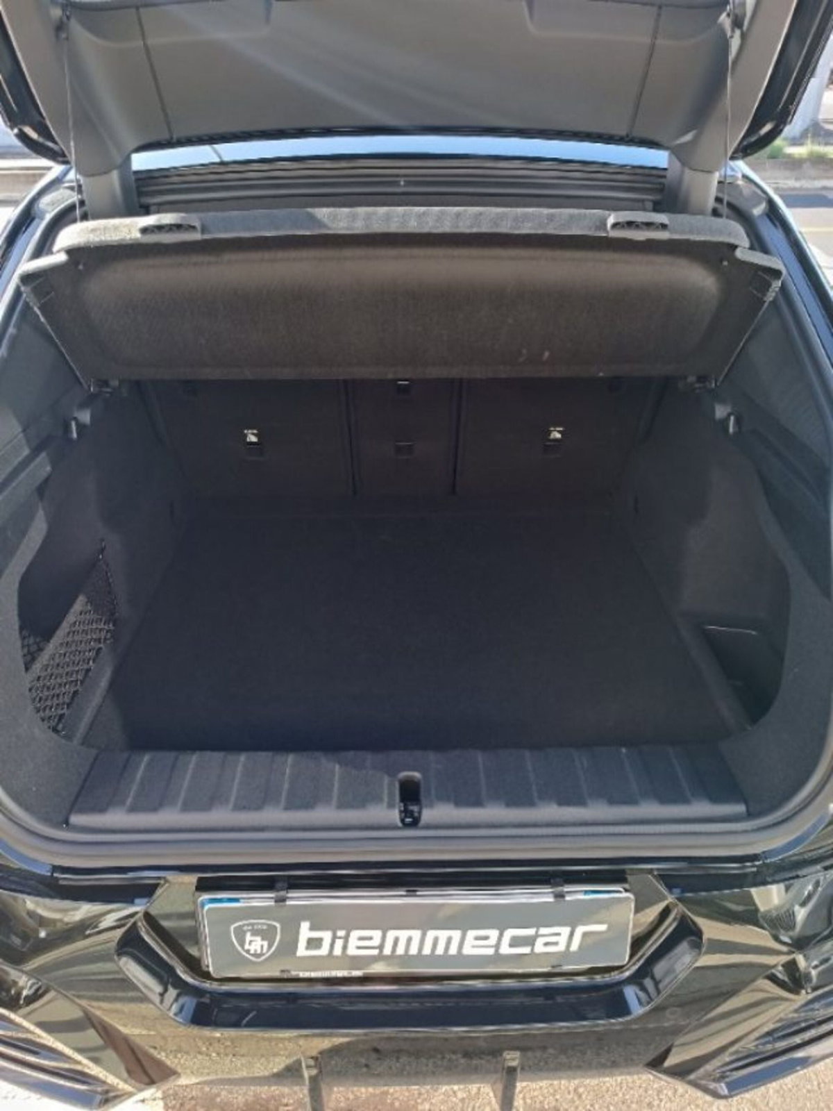 BMW X2 sdrive 18d MSport Pro auto (8)